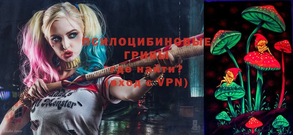 ПСИЛОЦИБИНОВЫЕ ГРИБЫ Покачи